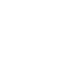 sport_logo_Enfusion.png